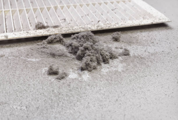 Best HVAC System Cleaning  in Stickney, IL