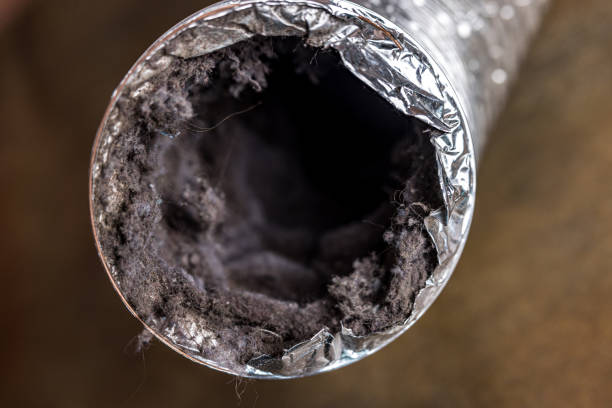 Best Best Air Duct Cleaning Company  in Stickney, IL