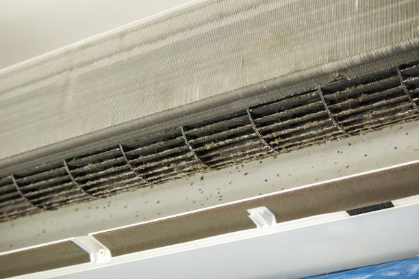 Best Commercial HVAC Duct Cleaning  in Stickney, IL