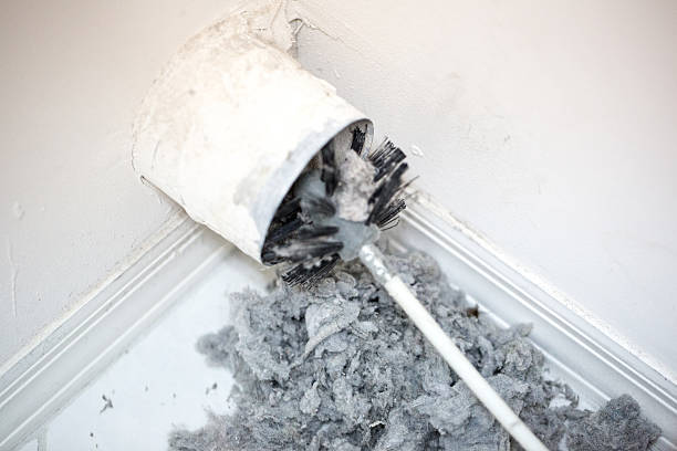 Best Affordable Air Duct Cleaning  in Stickney, IL